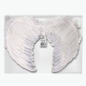 ALAS DE ANGEL 60X45 CM